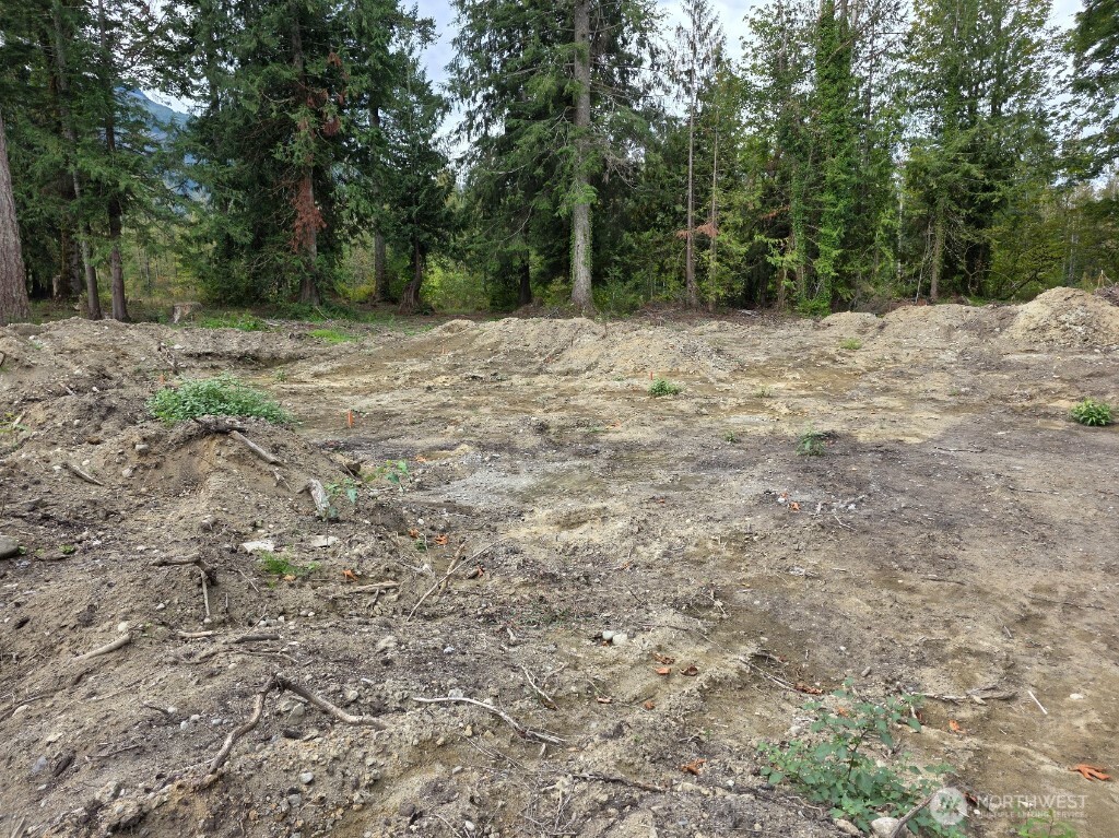 1212 Croft Avenue Gold Bar, WA 98251 - Photo 2 of 14 a view of a covered with trees