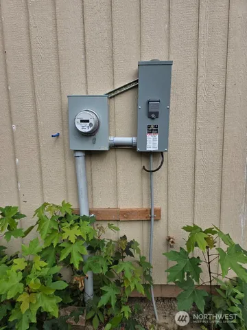 a view of a forest with a tree