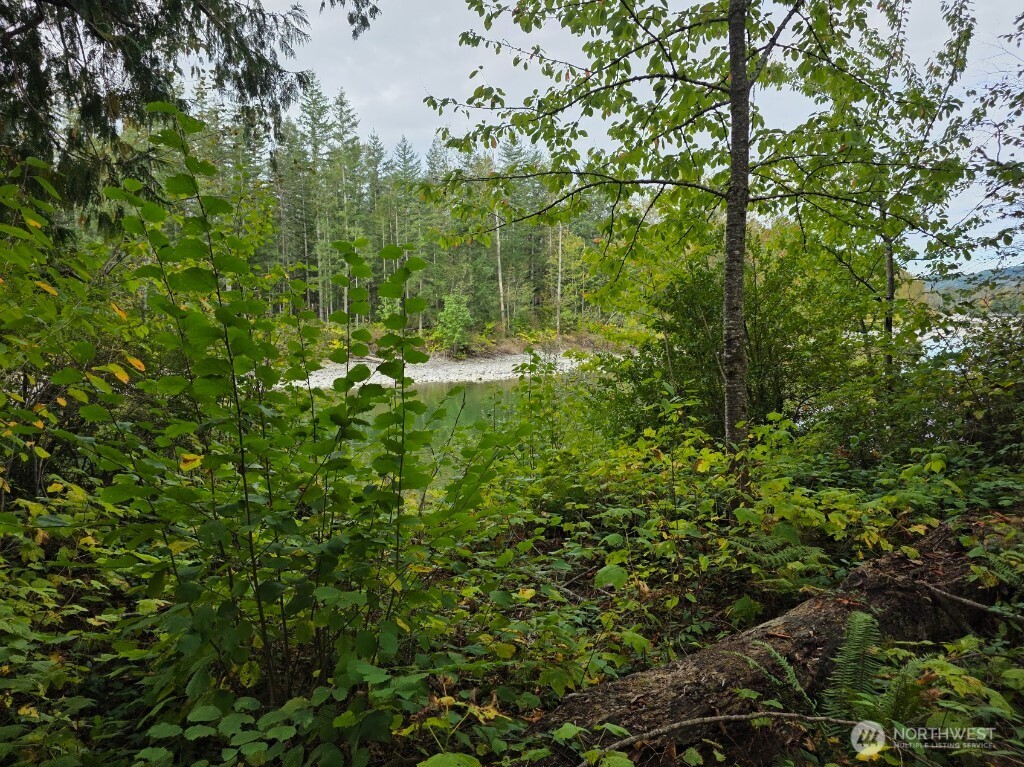 1212 Croft Avenue Gold Bar, WA 98251 - Photo 6 of 14 a view of a lush green forest