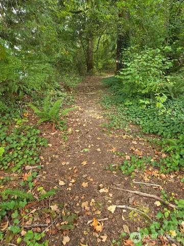 a view of a yard with a tree