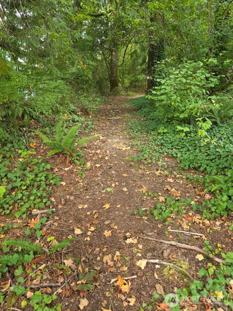 1212 Croft Avenue Gold Bar, WA 98251 - Photo 8 of 14 a big yard with lots of green space and plants