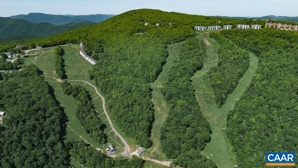 1808 High Ridge Roseland, VA 22967 - Photo 51 of 54