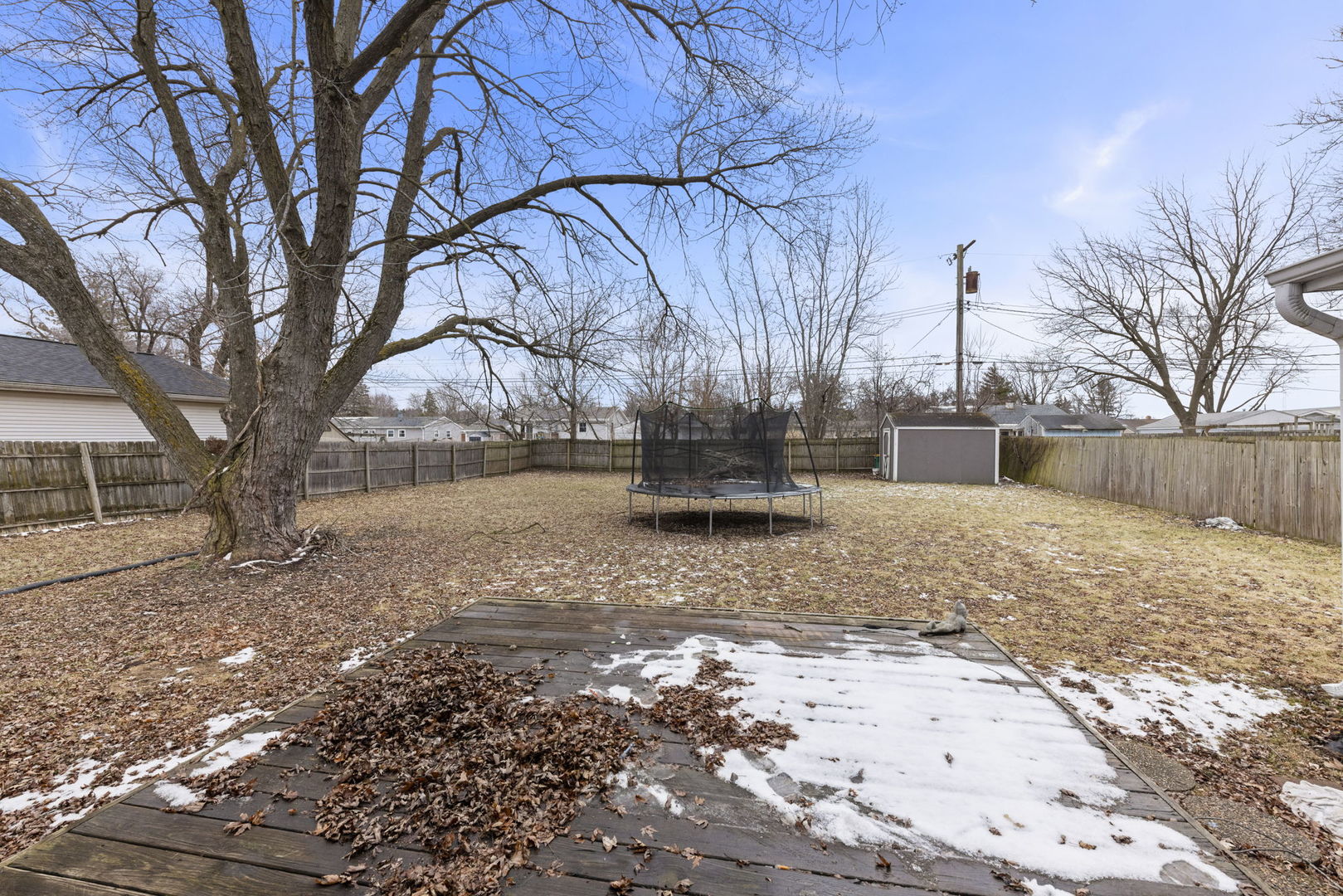 422 Best Avenue DeKalb, IL 60115 - Photo 23 of 34 a backyard of a house with a large tree