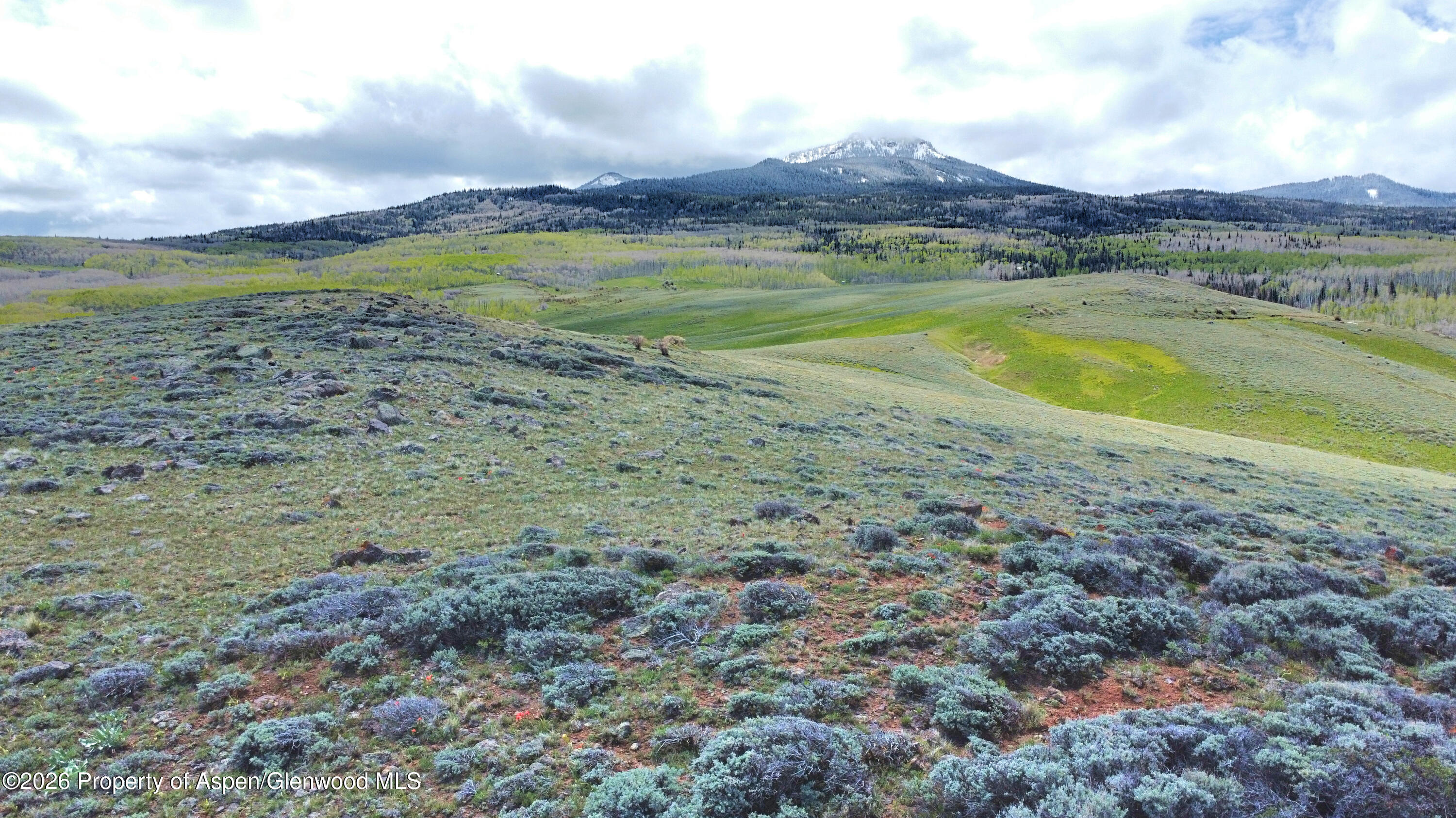 993 Eagle Loop Craig, CO 81625 - Photo 3 of 20 DJI_0856 (2)