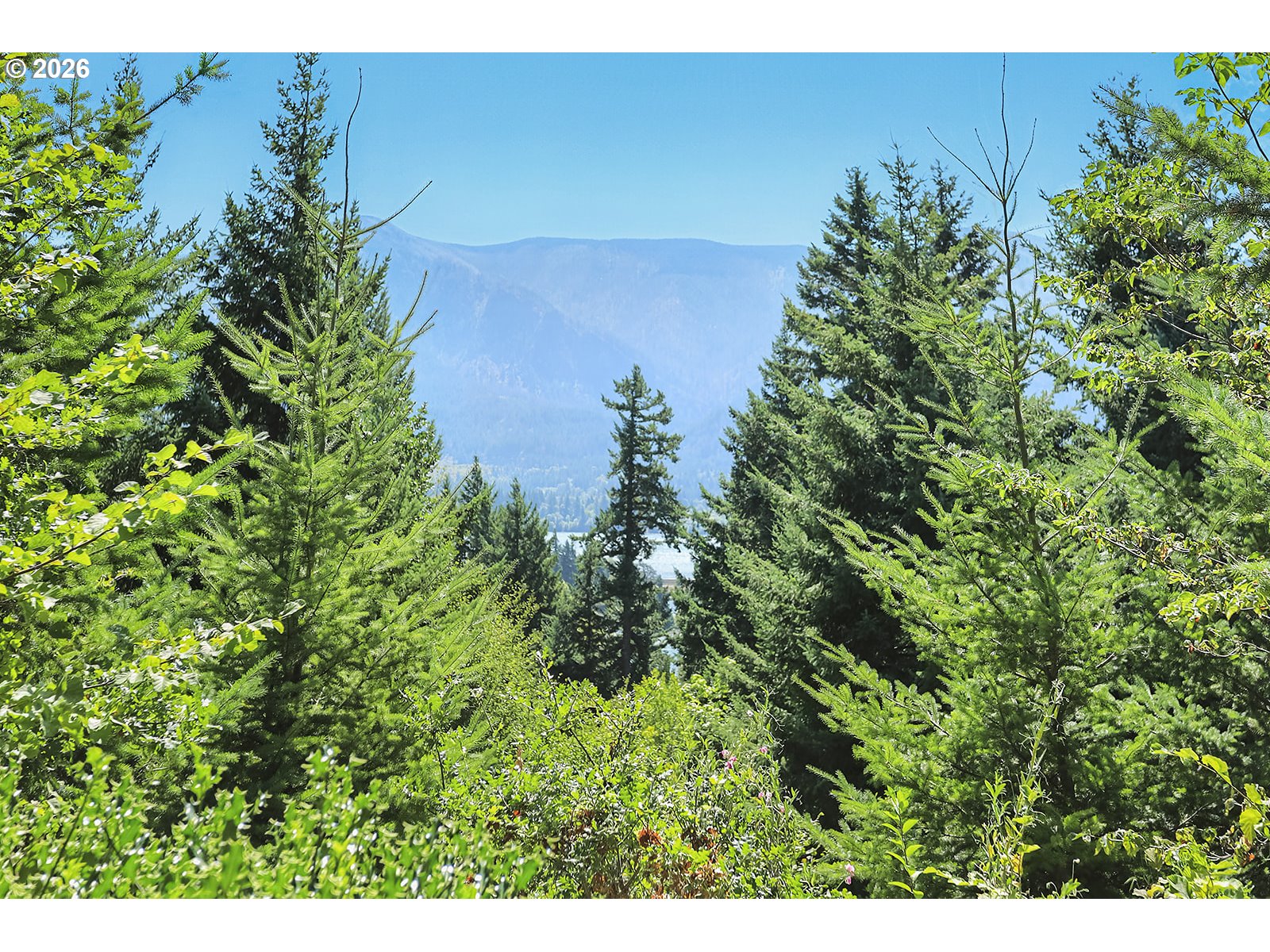 1001 Northwest Kaspar Road Stevenson, WA 98648 - Photo 42 of 47