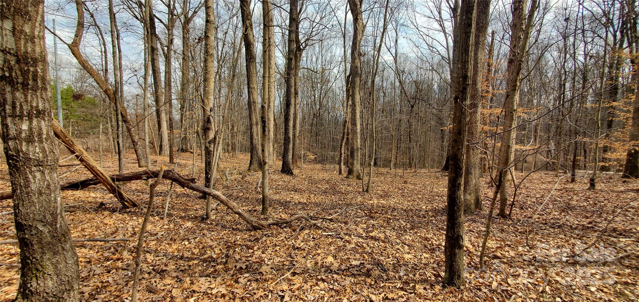 a view of a backyard of the house