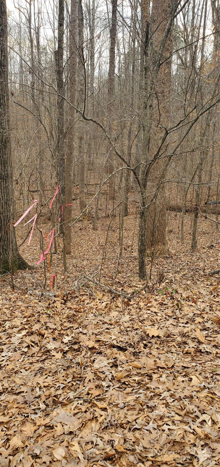 579 Hoover Road Troutman, NC 28166 - Photo 12 of 14 a view of empty space with large tree