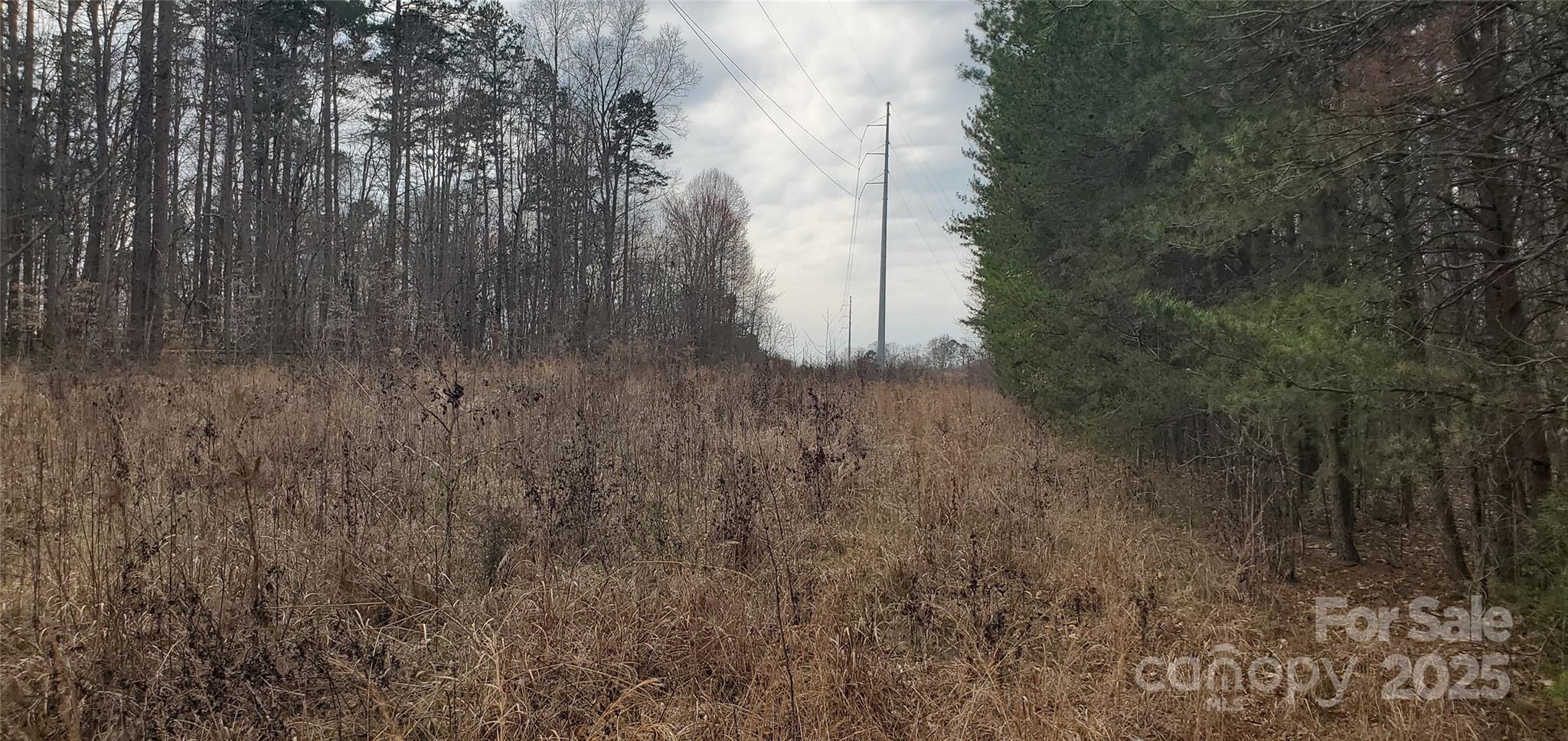 579 Hoover Road Troutman, NC 28166 - Photo 3 of 14 a view of a yard