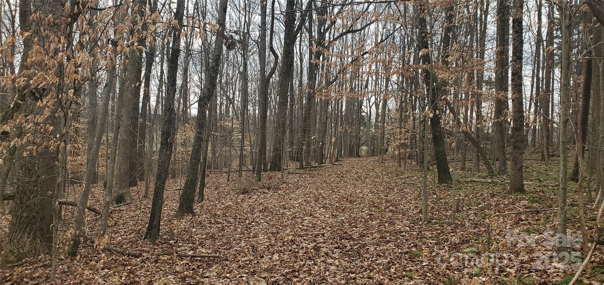 579 Hoover Road Troutman, NC 28166 - Photo 5 of 14 a view of outdoor space with lots of trees