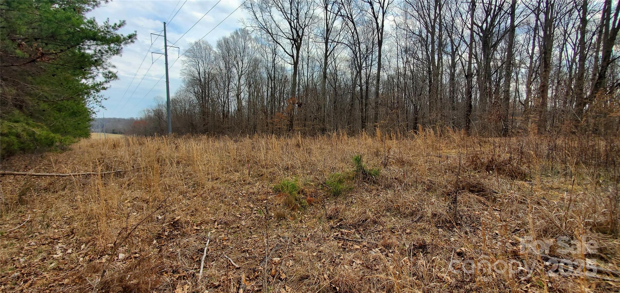 579 Hoover Road Troutman, NC 28166 - Photo 6 of 14 a view of backyard with tall trees