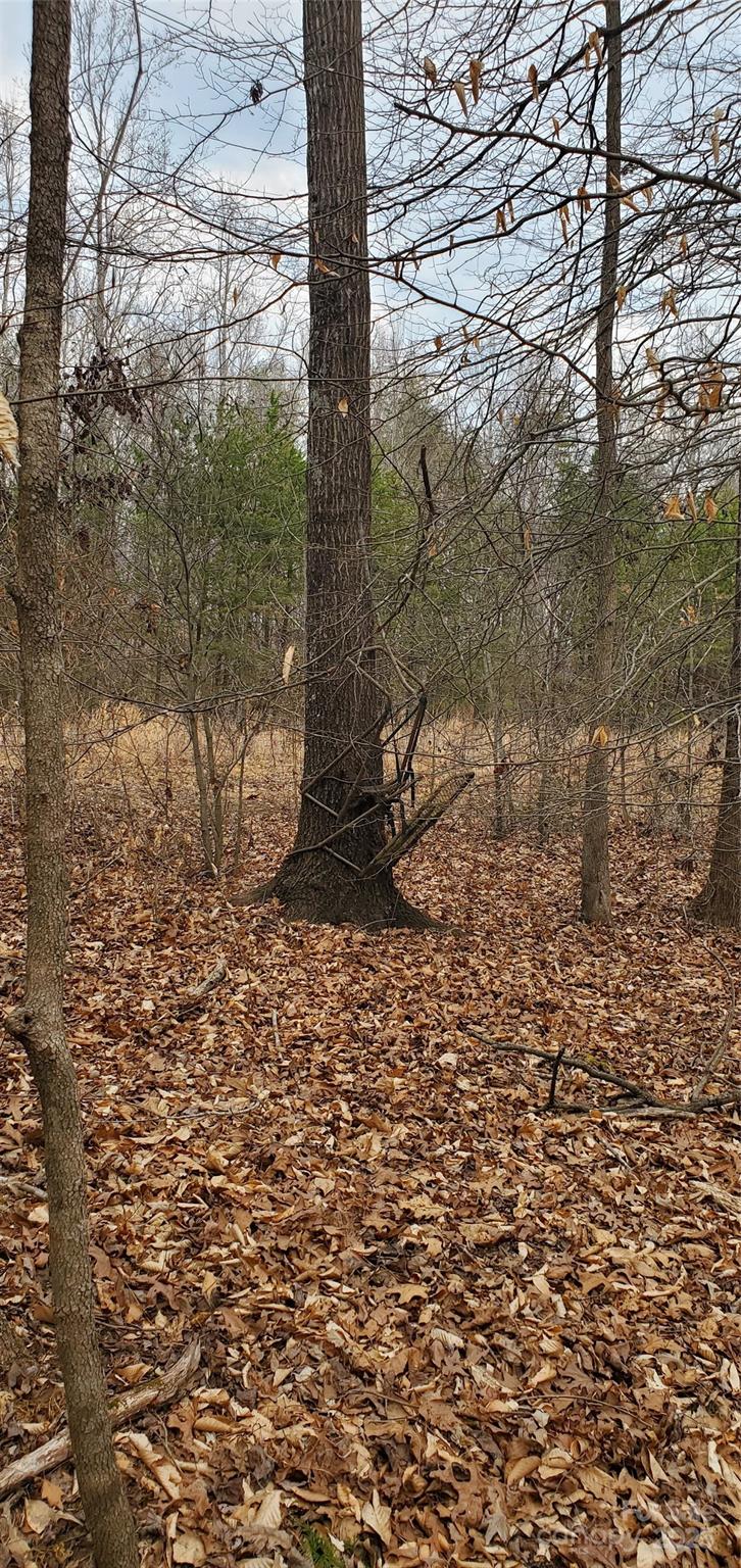 579 Hoover Road Troutman, NC 28166 - Photo 10 of 14 a backyard of a house