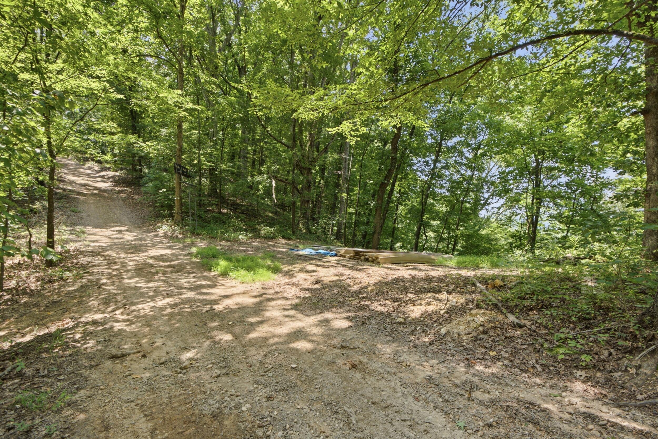 0 Pete Graham Road Jasper, TN 37347 - Photo 11 of 23 010_dsc07480