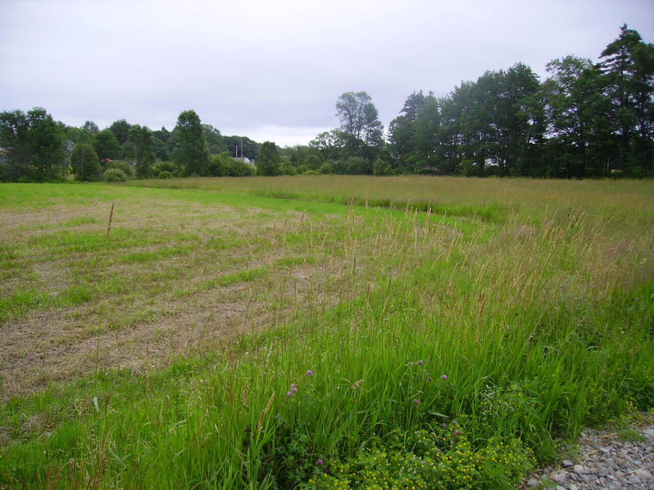 Lot 2 Bellsqueeze Road Waterville, ME 04901 - Photo 1 of 1 PICT2344