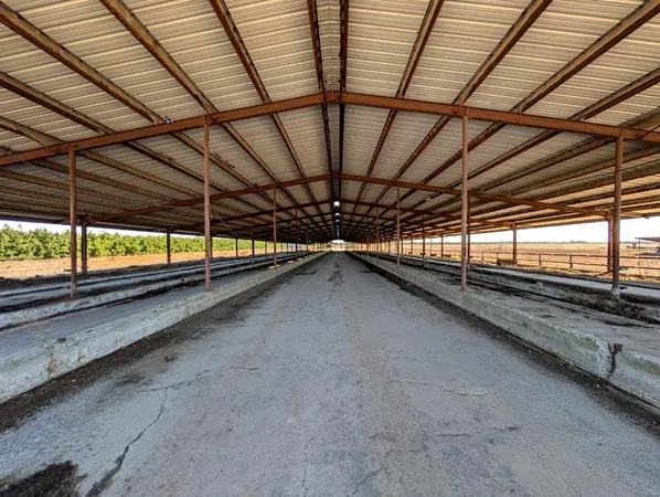 $1,200,000 | 19542 North Jack Tone Road, Lockeford, CA 95237