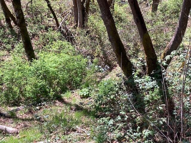 2230 Anderson Creek Road Talent, OR 97540 - Photo 27 of 27 2230 Anderson Creek - Pic 30