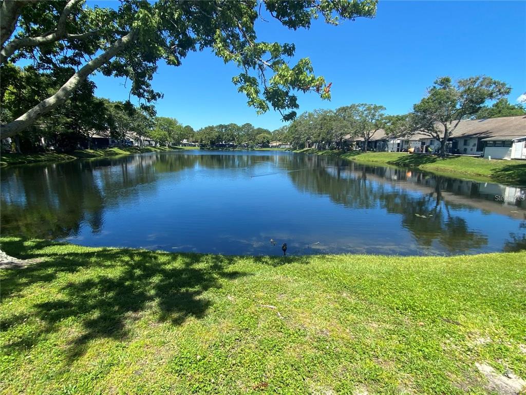 586 Rodeo Drive Largo, FL 33771 - Photo 24 of 32 Gallery Image 24
