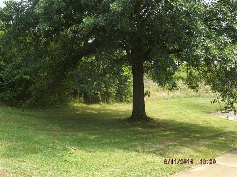 541 Old Bristow Road Independence, KY 41051 - Photo 19 of 30 Gallery Image 19