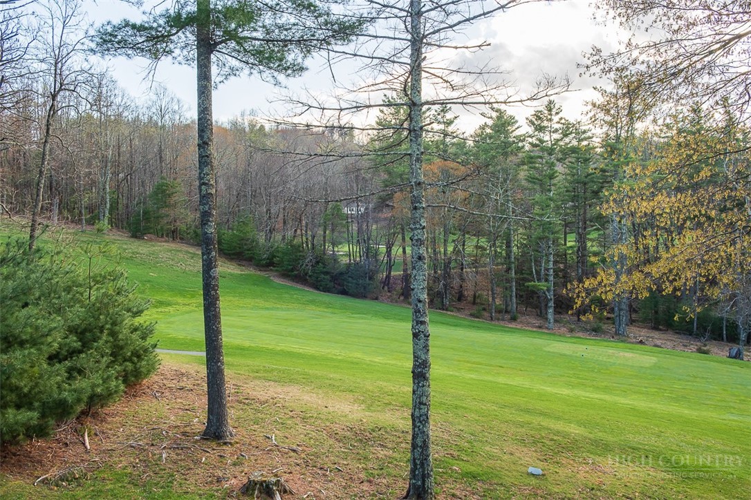 442 Country Club Road Glade Valley, NC 28627 - Photo 31 of 34 Gallery Image 31