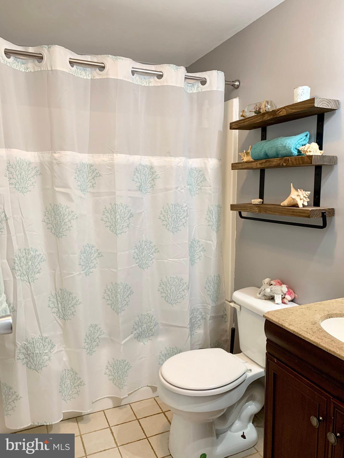 17995 Marvel Road Marydel, MD 21649 - Photo 10 of 14 Full Hall Bathroom