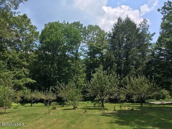 320 East River Road Chester, MA 01011 - Photo 11 of 34 a view of a park