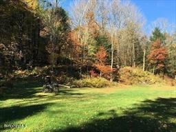 320 East River Road Chester, MA 01011 - Photo 19 of 34 a view of yard with green space