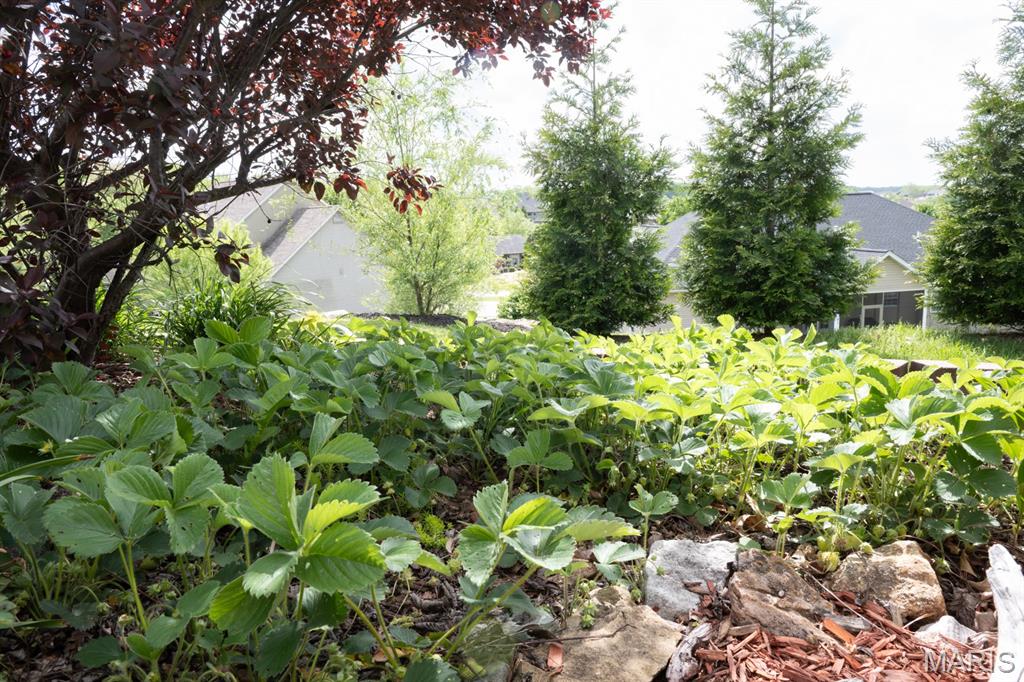 4947 South Point Road Washington, MO 63090 - Photo 59 of 72