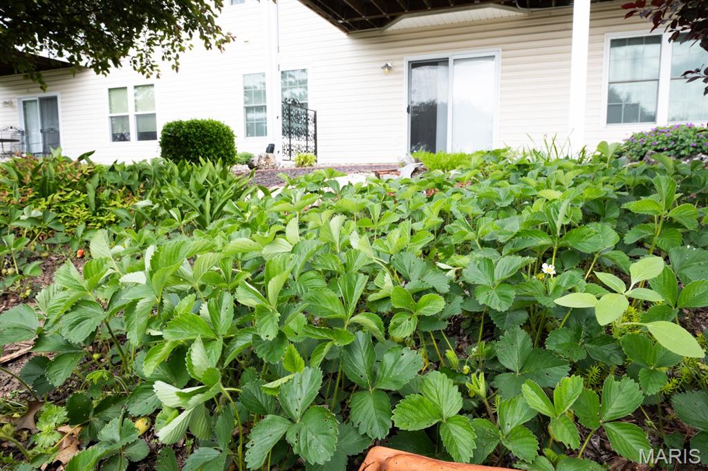 4947 South Point Road Washington, MO 63090 - Photo 65 of 72