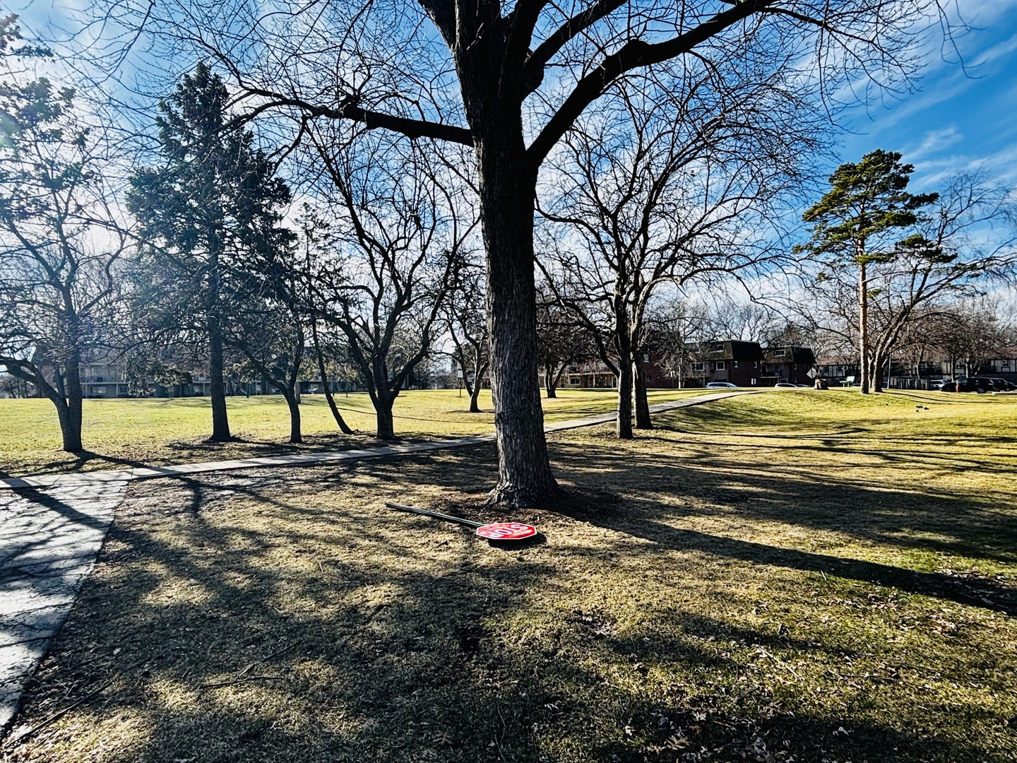 2408 West Algonquin Road, Unit 3 Rolling Meadows, IL 60008 - Photo 2 of 6 a view of a yard with swimming pool