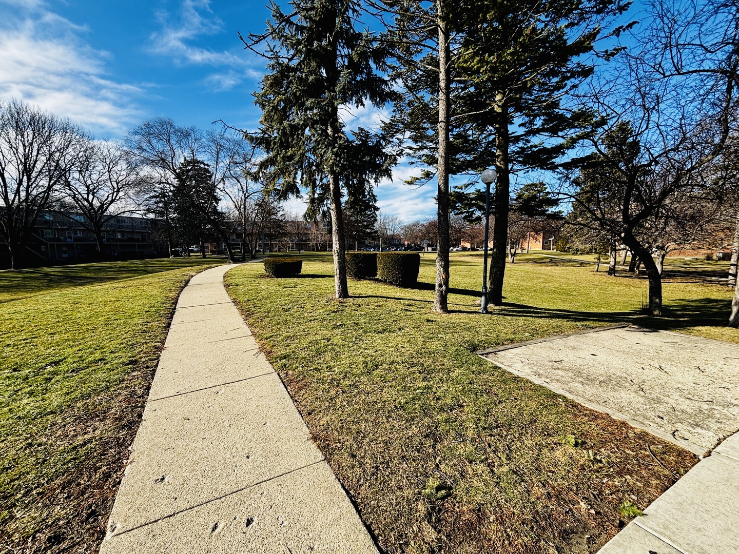 2408 West Algonquin Road, Unit 3 Rolling Meadows, IL 60008 - Photo 4 of 6 a view of swimming pool with trees in the background
