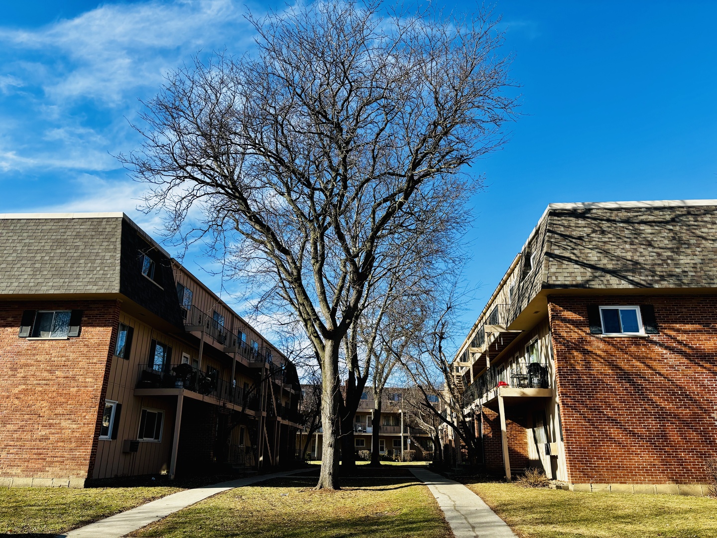 2408 West Algonquin Road, Unit 3 Rolling Meadows, IL 60008 - Photo 6 of 6 a view of a house with a large tree