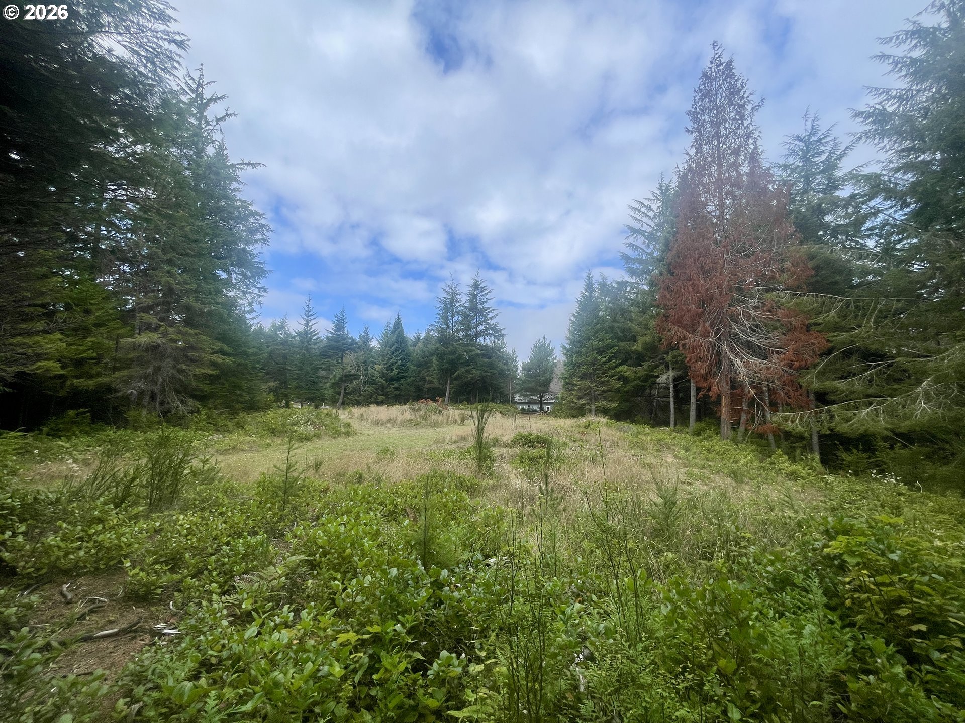 Sandpoint Road North Bend, OR 97459 - Photo 27 of 29 Gallery Image 27