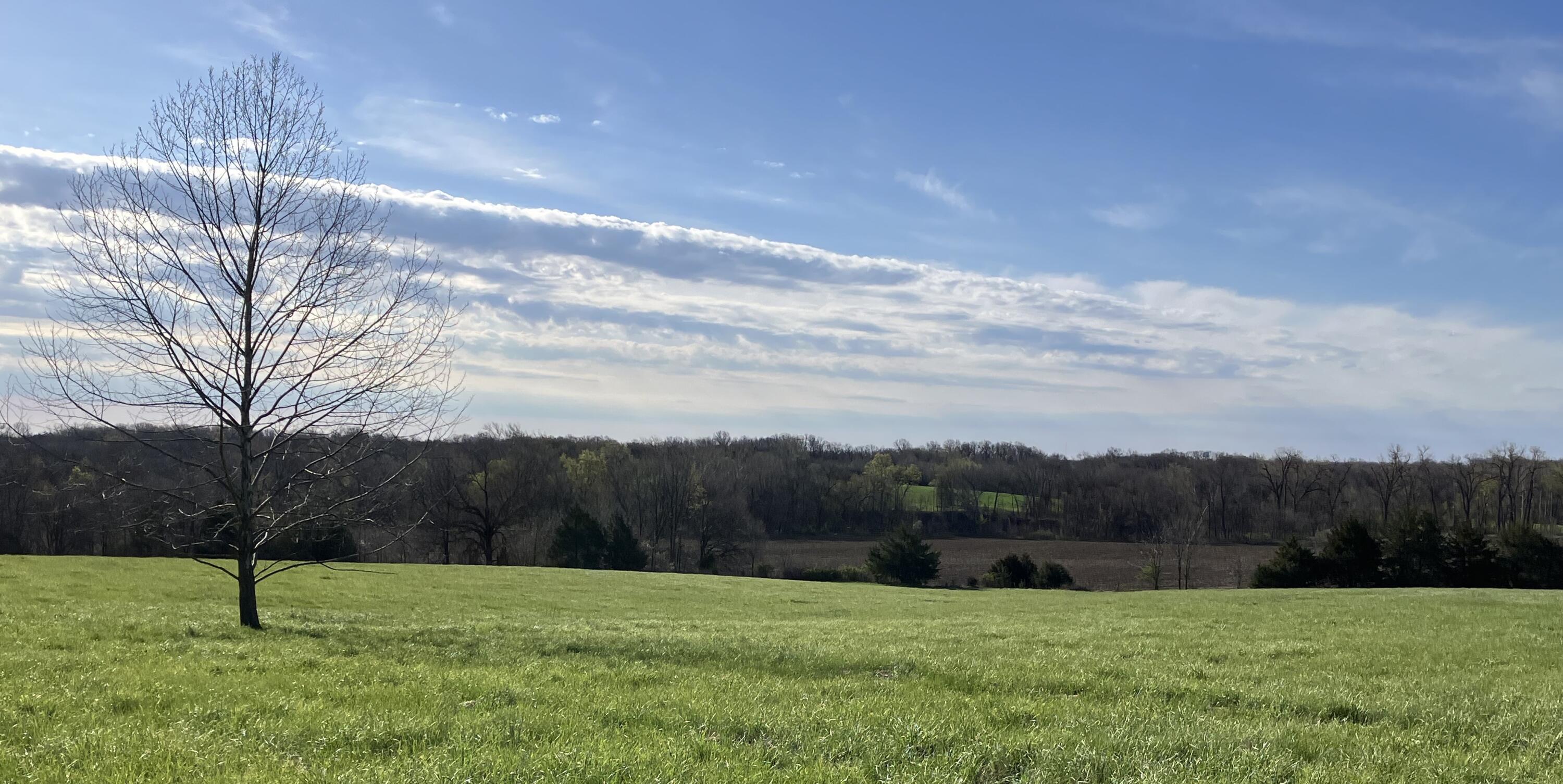 0 West Richland School Road Rocheport, MO 65279 - Photo 1 of 1