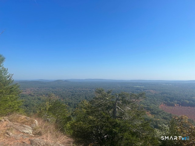 117 North Saddle Ridge Simsbury, CT 06092 - Photo 42 of 46