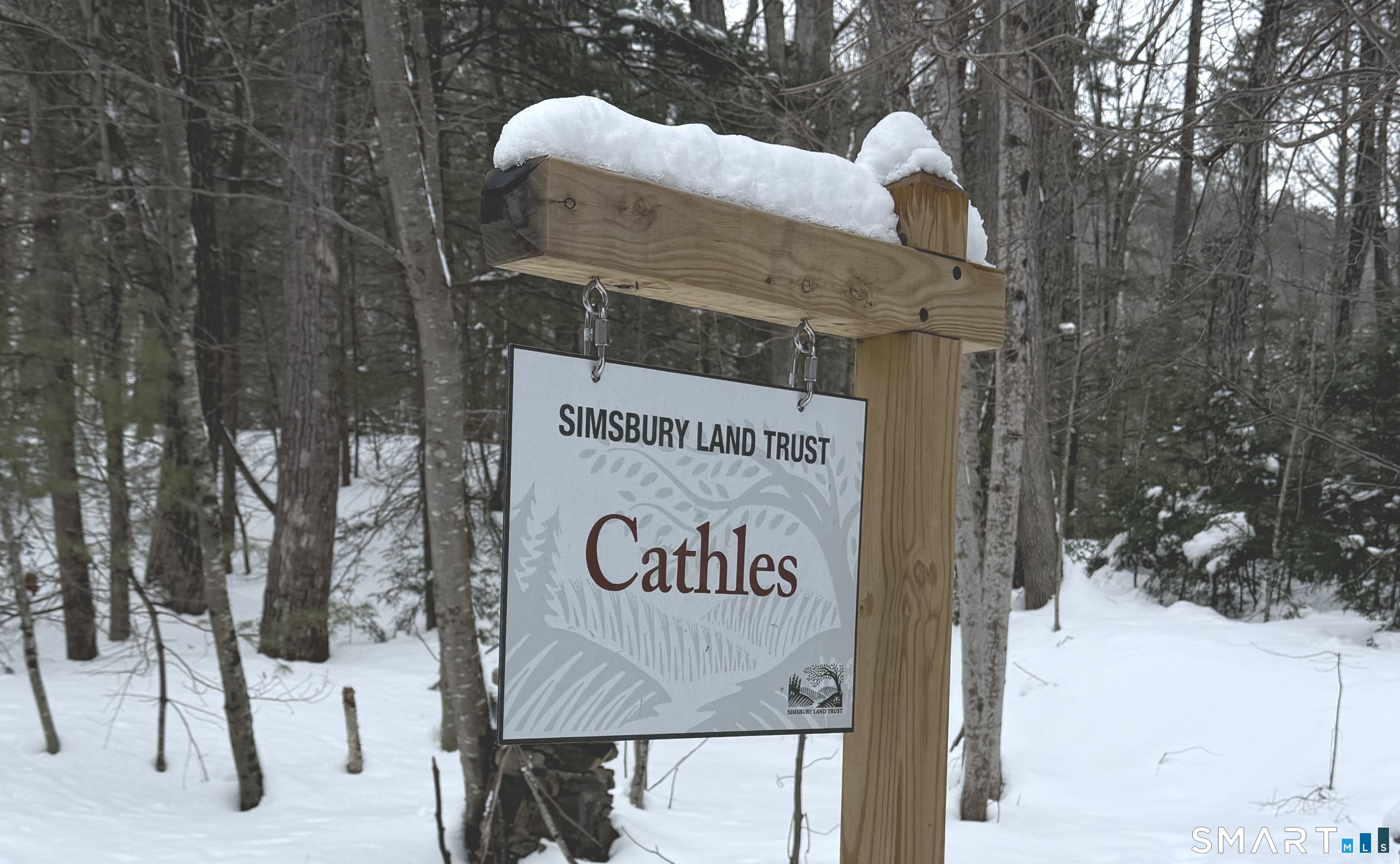 117 North Saddle Ridge Simsbury, CT 06092 - Photo 44 of 46