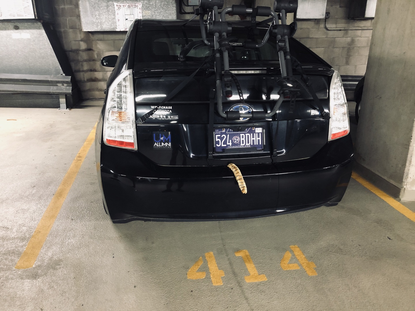 211 East Ohio Street, Unit 1102 Chicago, IL 60611 - Photo 14 of 14