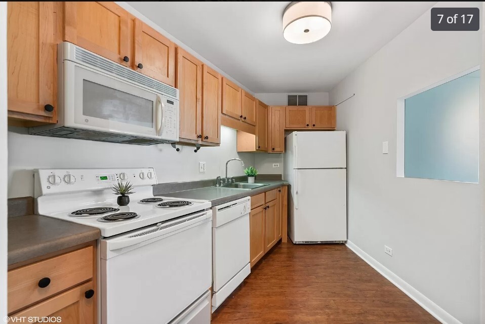 211 East Ohio Street, Unit 1102 Chicago, IL 60611 - Photo 3 of 14