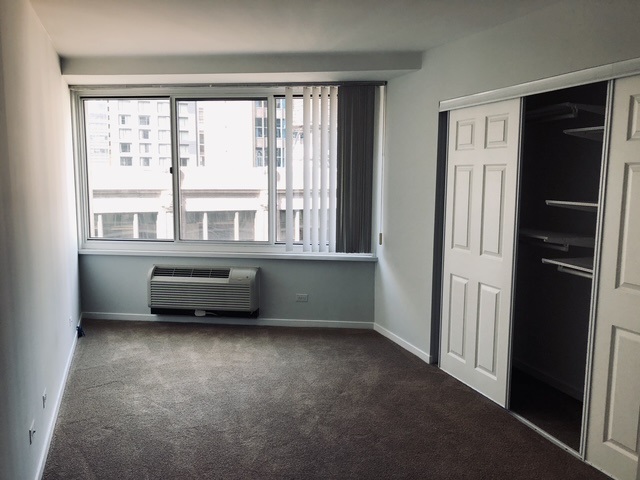 211 East Ohio Street, Unit 1102 Chicago, IL 60611 - Photo 4 of 14