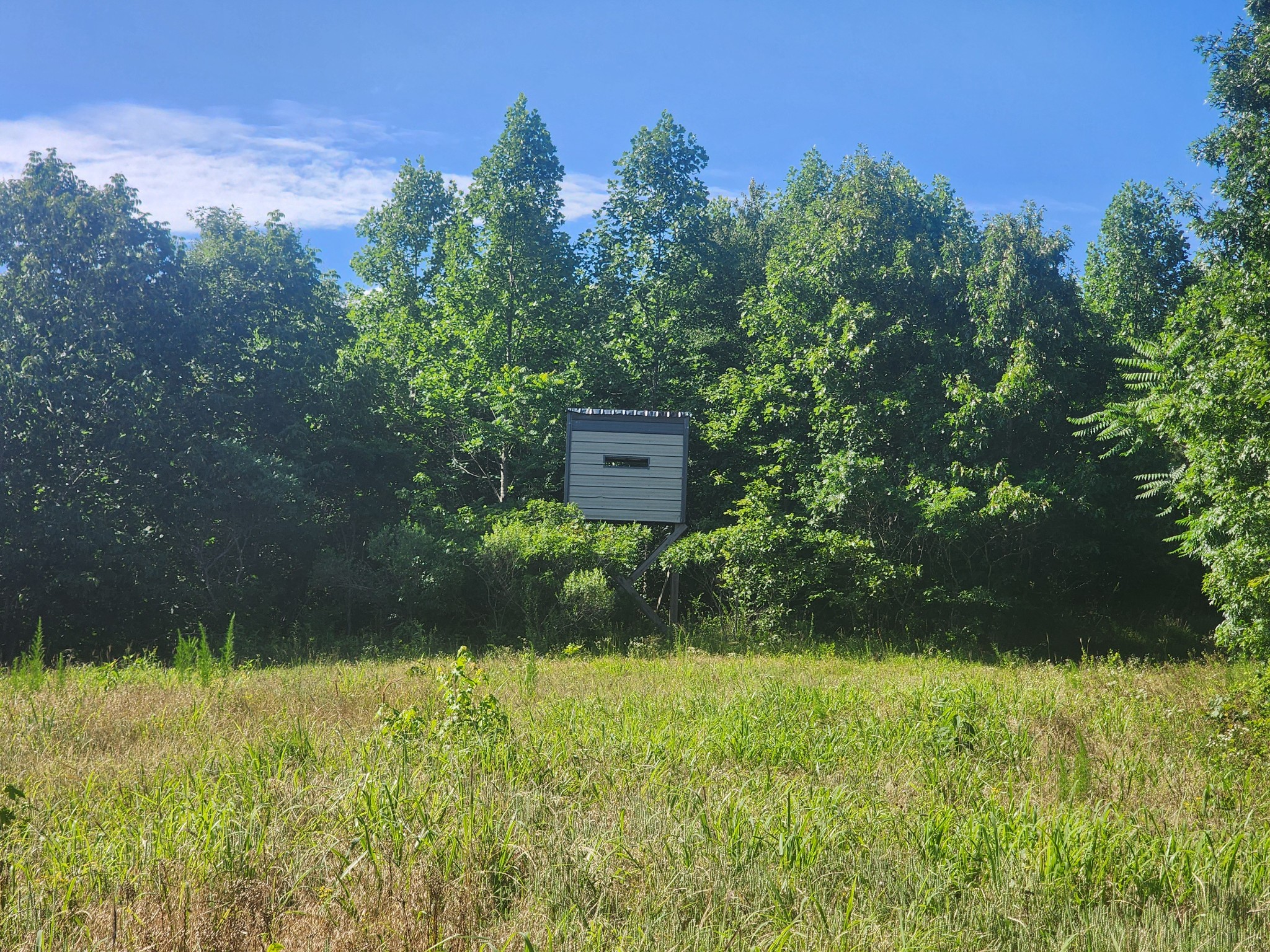 0 Sinking Creek Road Linden, TN 37096 - Photo 9 of 23