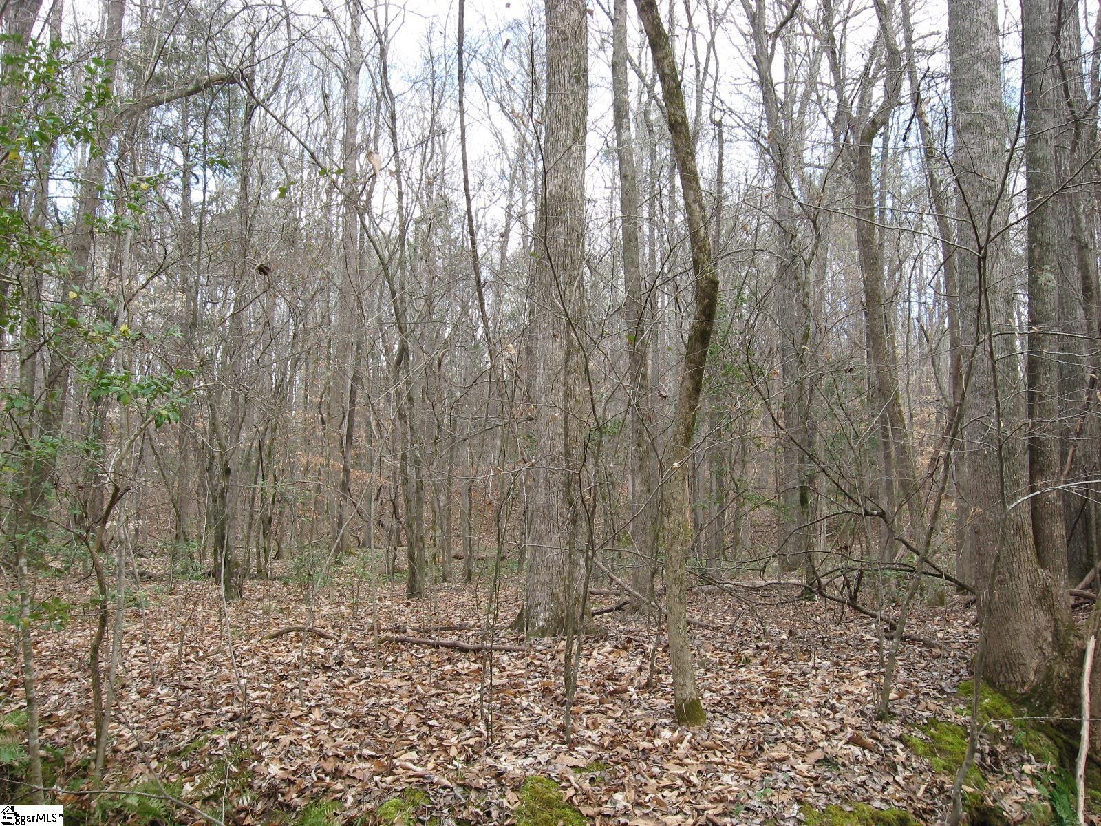 0 Deck Road Gray Court, SC 29645 - Photo 14 of 14 Gallery Image 14