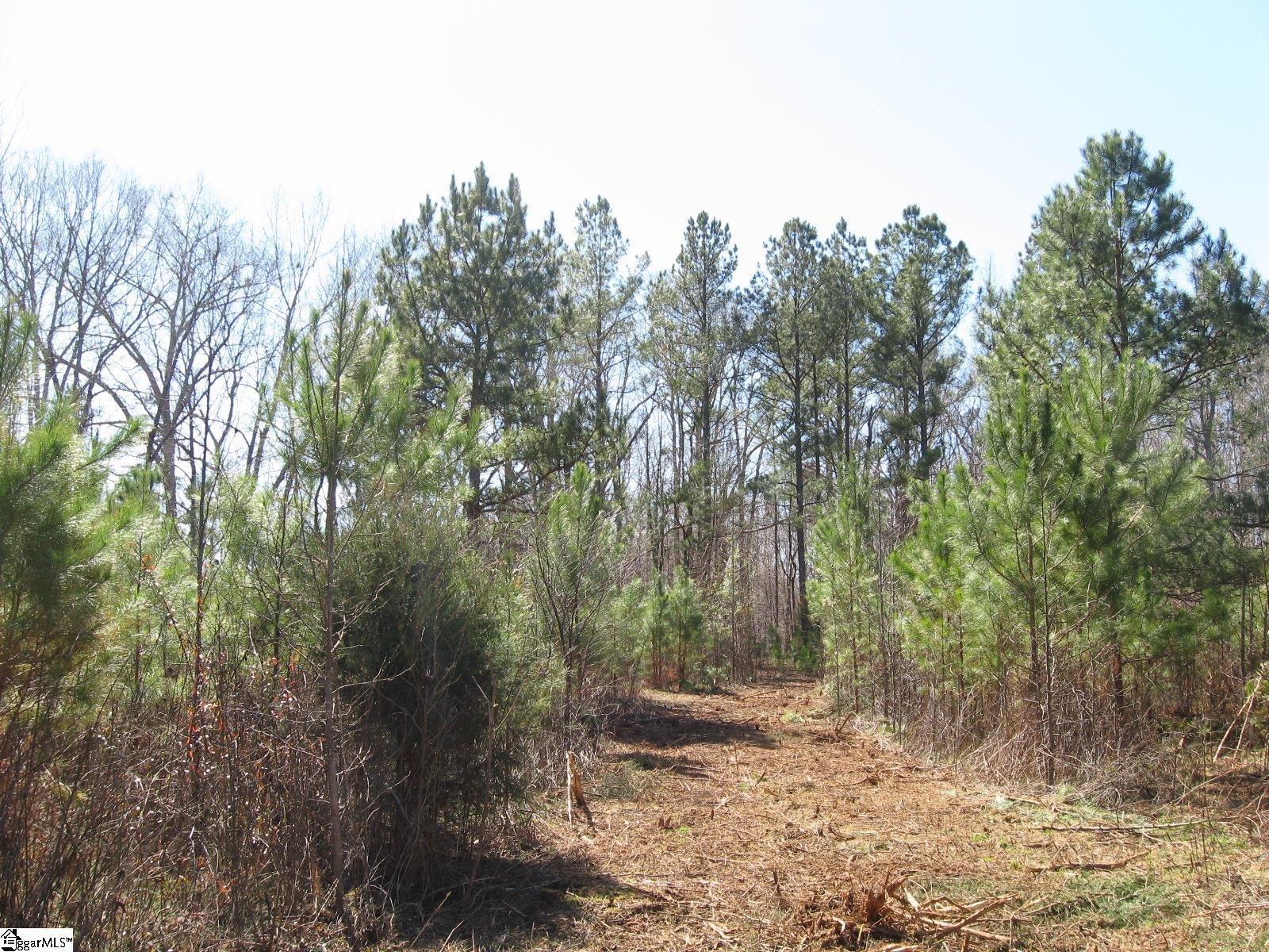 0 Deck Road Gray Court, SC 29645 - Photo 9 of 14 Gallery Image 9