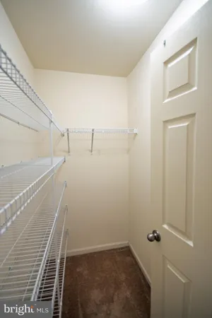 a bathroom with a shower and a toilet
