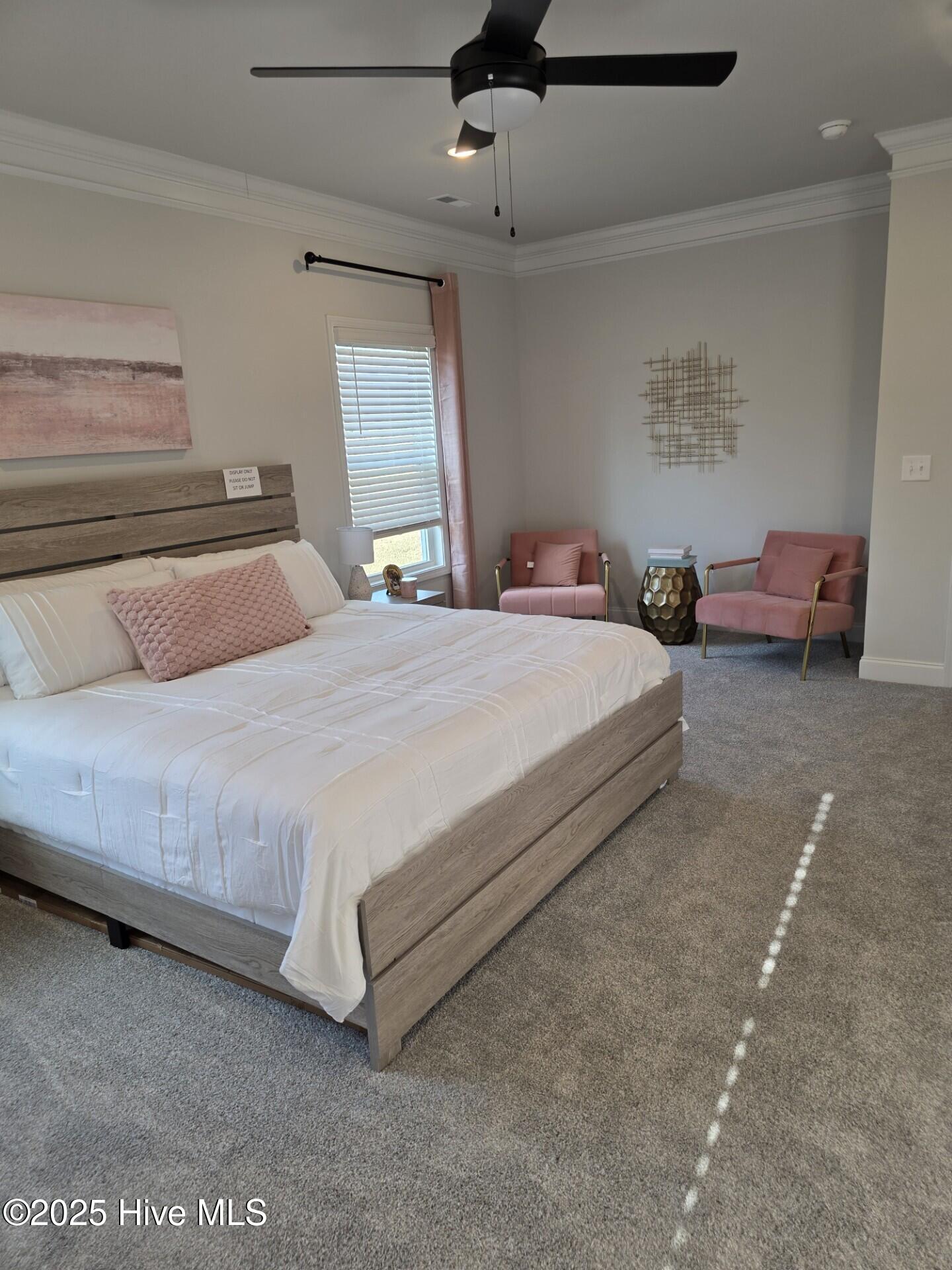 194 Poker House Road Grimesland, NC 27837 - Photo 3 of 21 194MBED