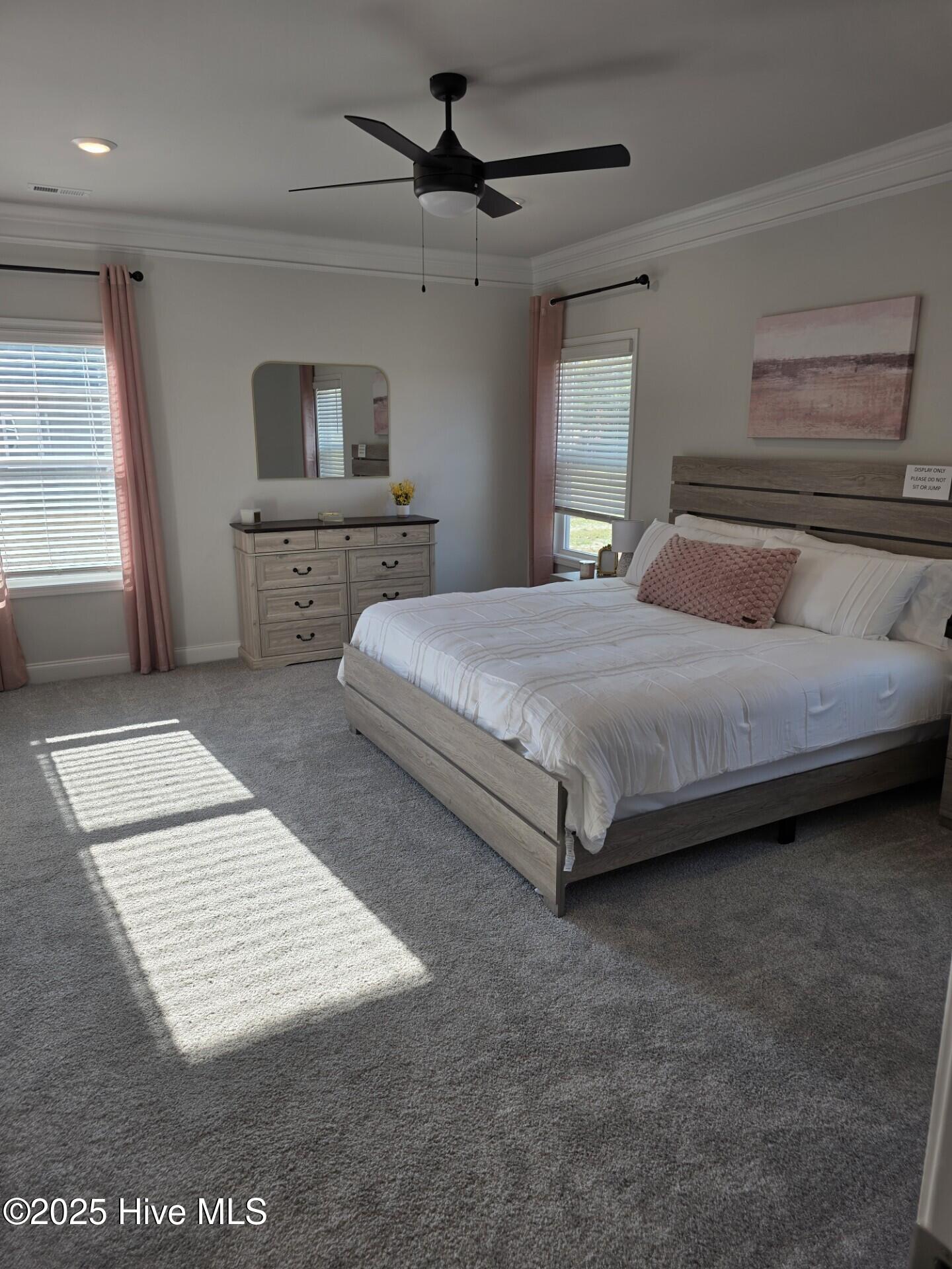 194 Poker House Road Grimesland, NC 27837 - Photo 4 of 21 194MBED2