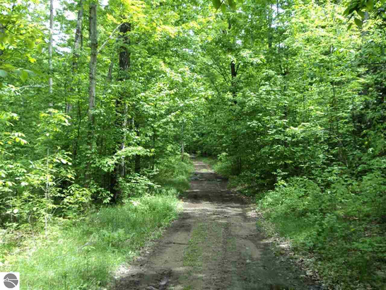 6530 Johnson Road Mancelona, MI 49659 - Photo 65 of 71 1782003-64.JPG