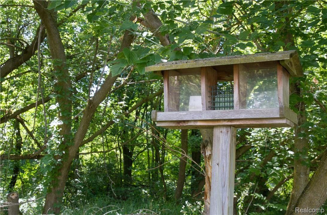 Immerse yourself in Nature