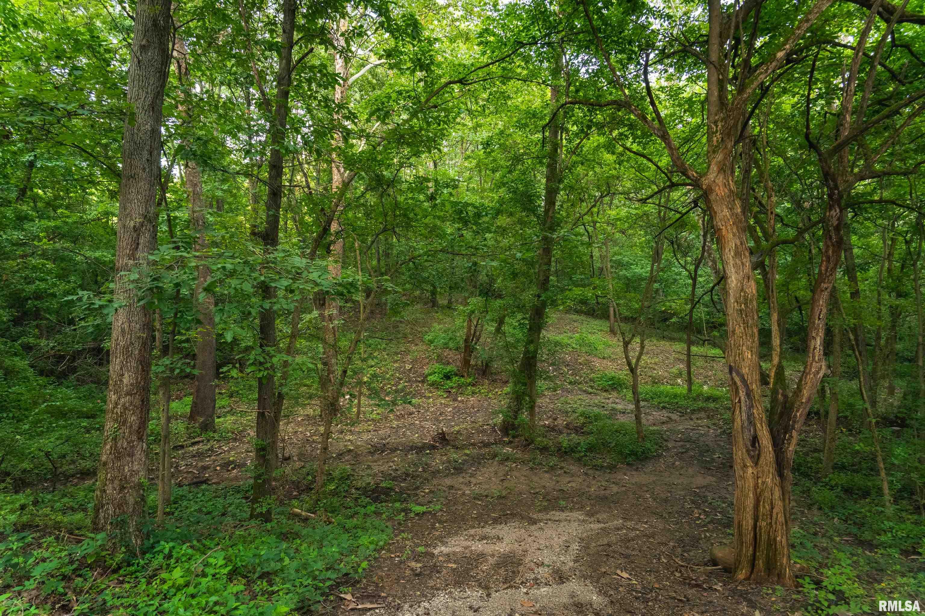 1885 Central Point Road Springfield, IL 62707 - Photo 95 of 100 Gallery Image 95