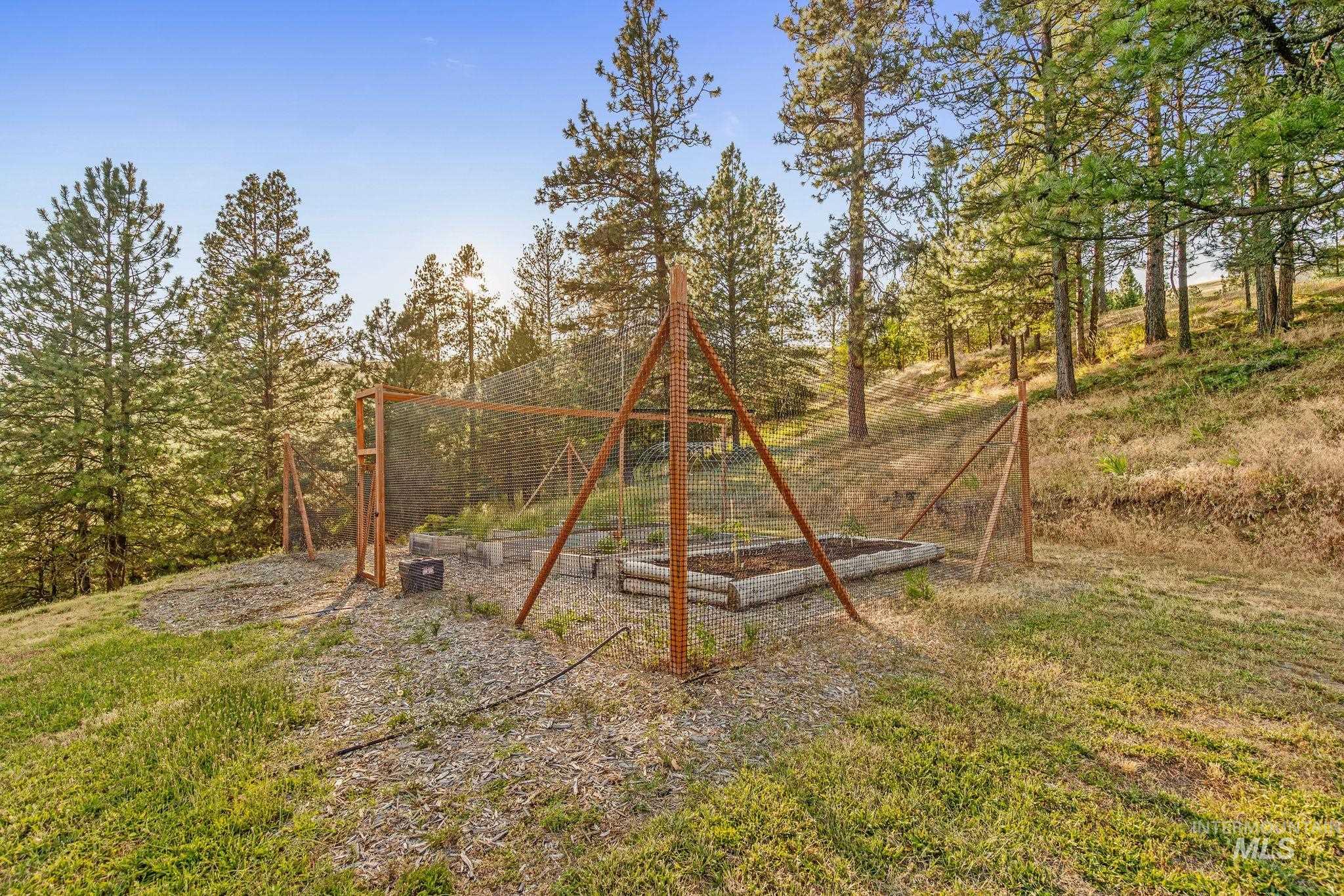 435 River Pointe Lane Lenore, ID 83541 - Photo 39 of 50 Wooded landscape featuring numerous mature pine trees