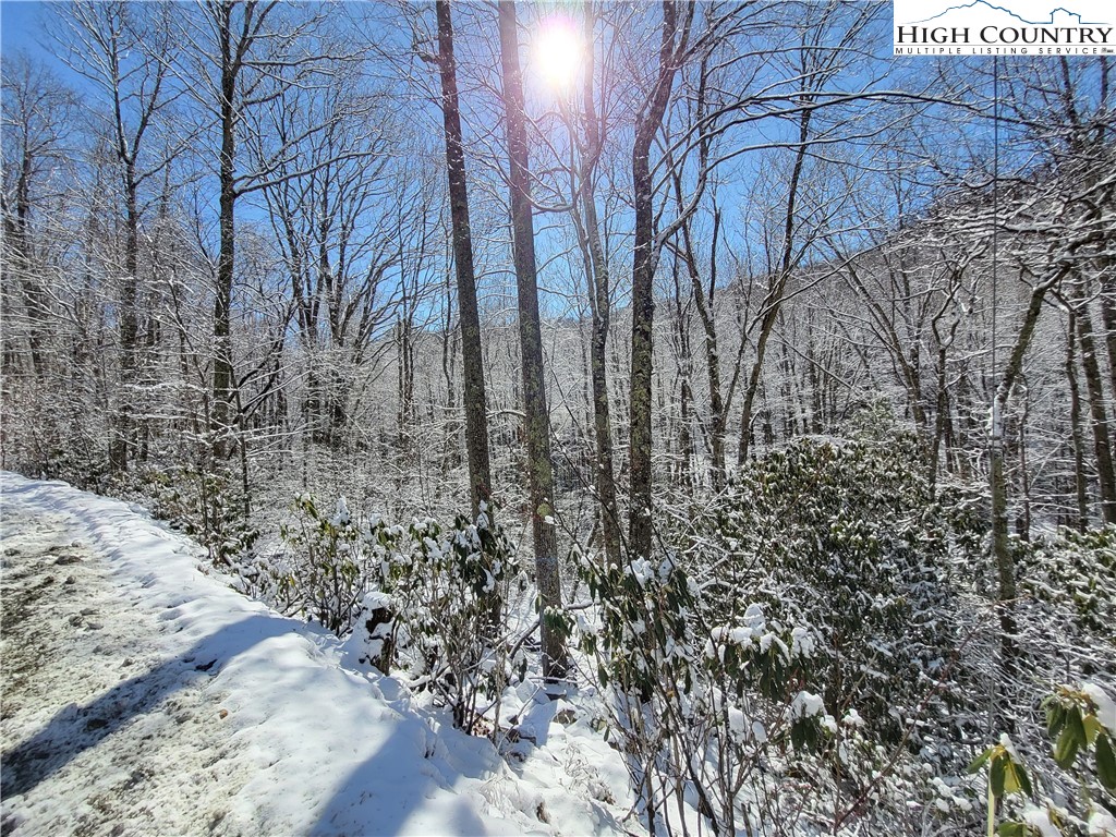 303 Jackpine Road Beech Mountain, NC 28604 - Photo 1 of 15 Gallery Image 1
