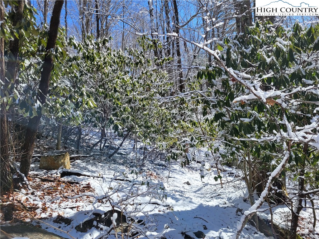 303 Jackpine Road Beech Mountain, NC 28604 - Photo 11 of 15 Gallery Image 11