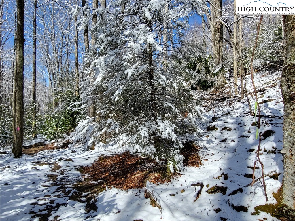 303 Jackpine Road Beech Mountain, NC 28604 - Photo 15 of 15 Gallery Image 15